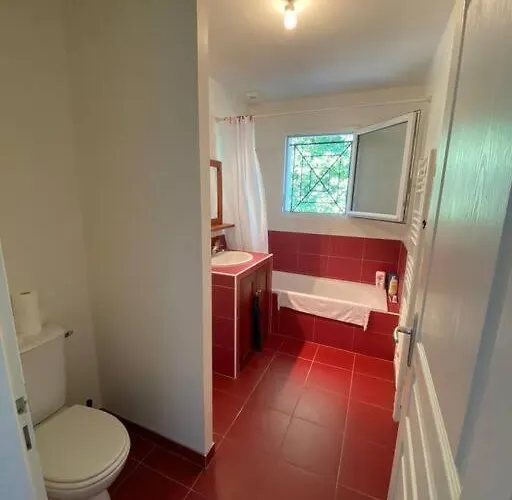 Comte, Quartier Calme, Pres De La Foret.